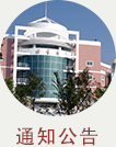 通知公告